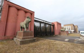 В Петербурге на месте бывшего мясокомбината могут открыть парк